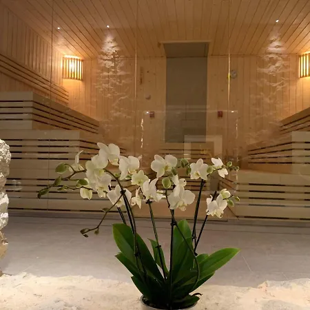 Spa&wellness By Des  Ingresso Gratuito Hotel 4*